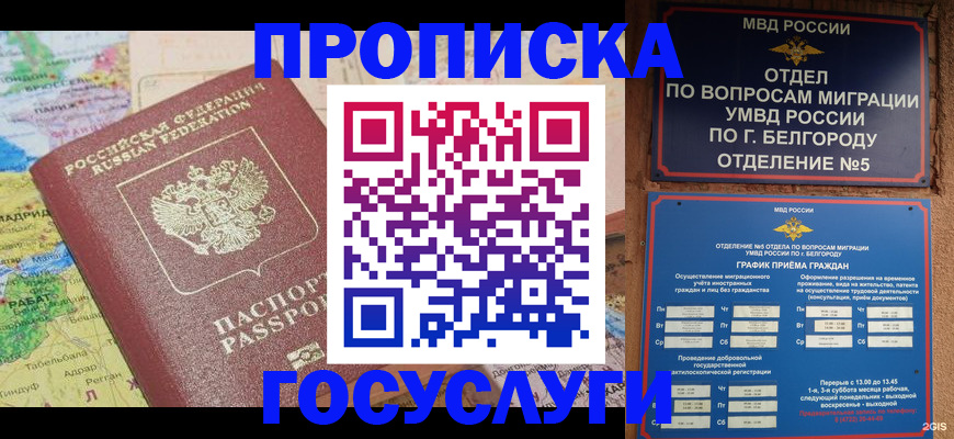 прописка регистрация в Каменке